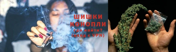 стаф Богородицк