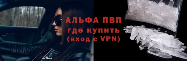 стаф Богородицк
