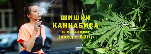 стаф Богородицк