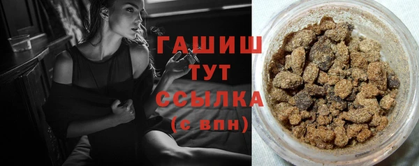 стаф Богородицк